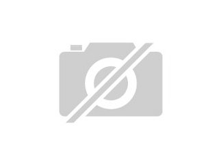 Hallo Verkaufe Teppichpython cheynei